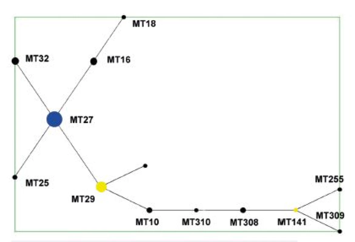 Diagram eBURST, MLVA analýza kmenů <i>B. pertussis,</i> ČR, 1967–2015 (červen) 
Figure 1. eBURST diagram, MLVA analysis of <i>B. pertussis</i> strain collection, Czech Republic, 1967–2015 (June)