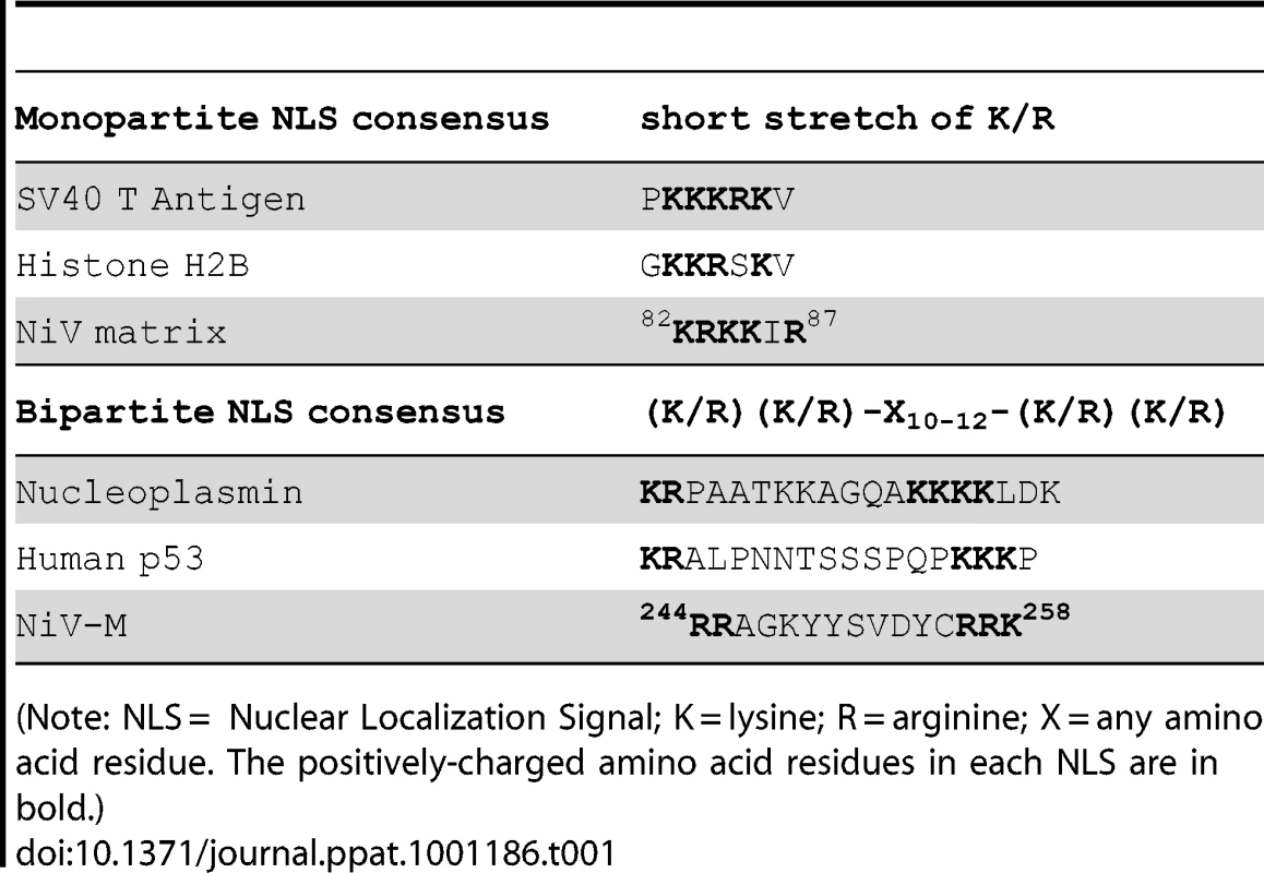 Alignment of Nipah matrix sequence with known NLSs.