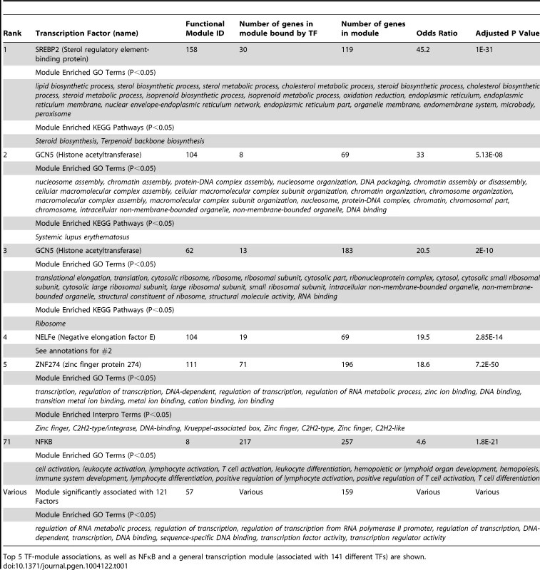 Functional modules recapitulate known transcription factor biology.