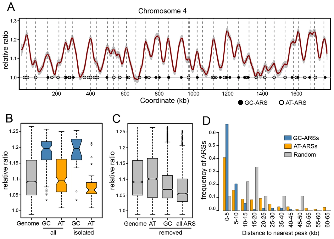 Replication timing of the <i>P. pastoris</i> genome.