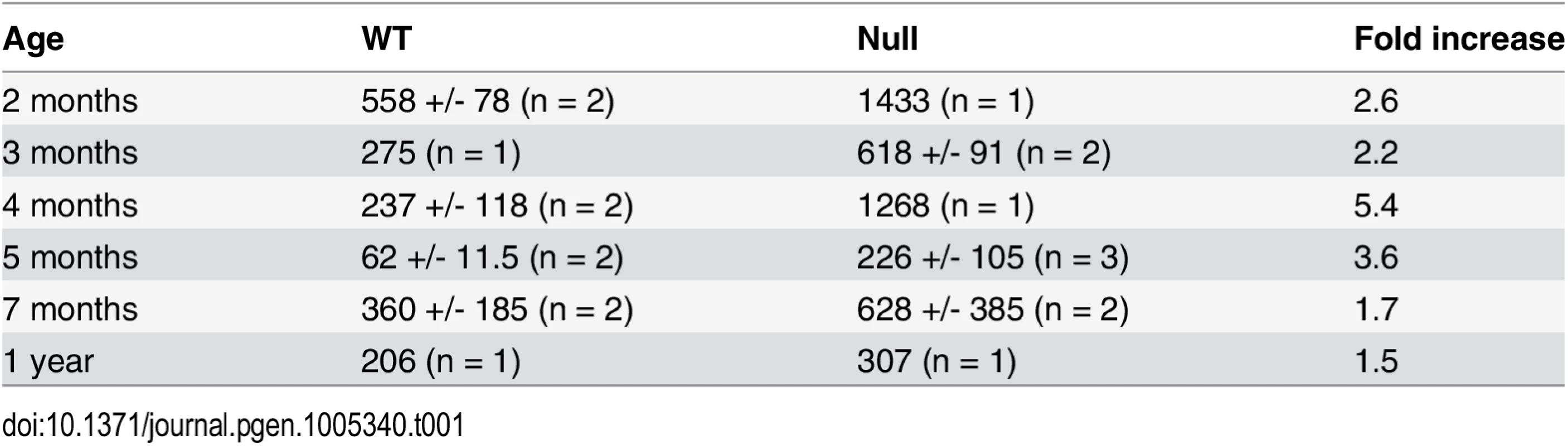 Creatine kinase activities in blood samples from wildtype and <i>Fbn2</i> null mice.