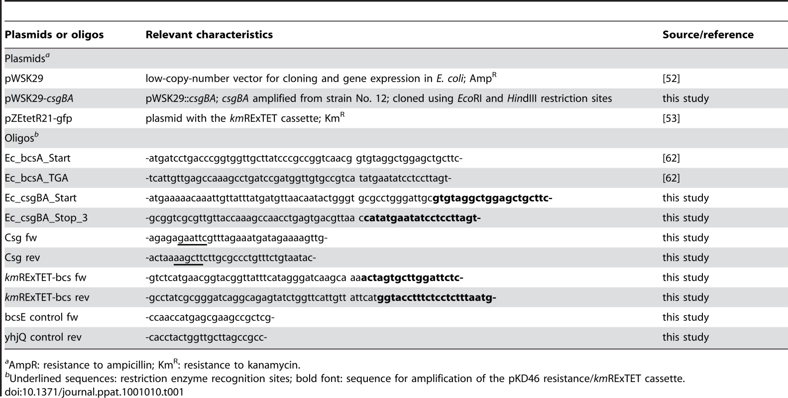 Oligos and plasmids used for mutant construction and complementation.