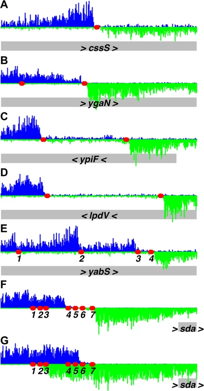 Identification of DnaA binding sites at single nucleotide resolution.
