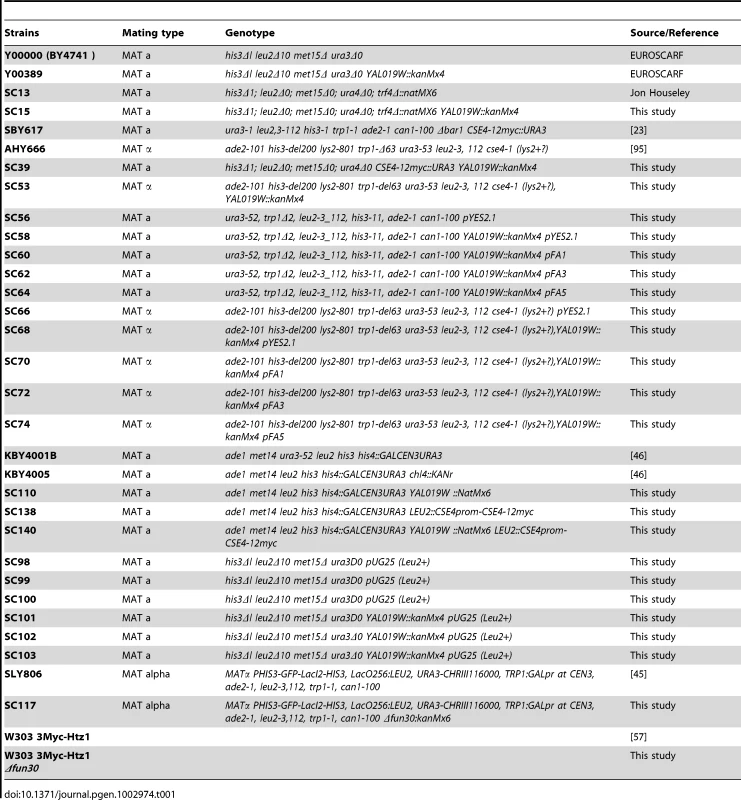 <i>S. cerevisiae</i> strains used in this study.