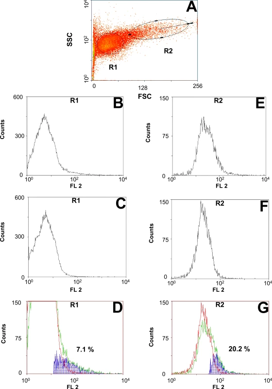 Flow cytometric analysis of Pgp expression on the surface of AD1-7<i>Ceg</i>Pgp-9V5His yeast cells.
