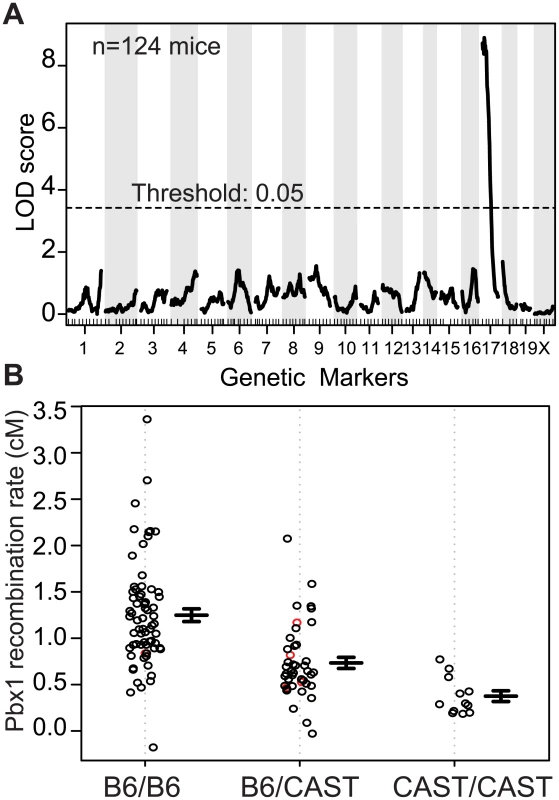 A QTL on proximal Chr 17 influences the recombination rate at <i>Pbx1</i>.