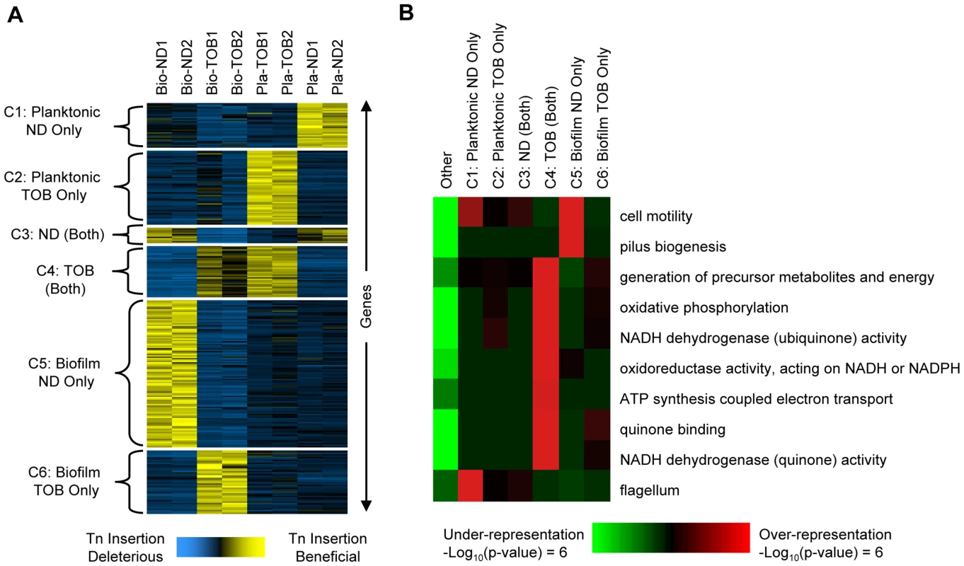 Gene- and pathway-level analysis of fitness profiles.