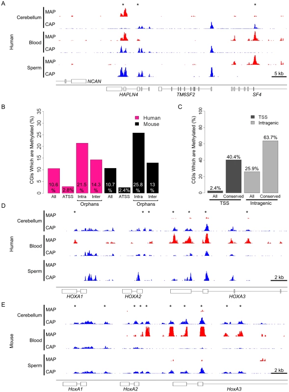 Reciprocal screening identifies inter-species conservation of CGI methylation even at sites distal to annotated promoters.
