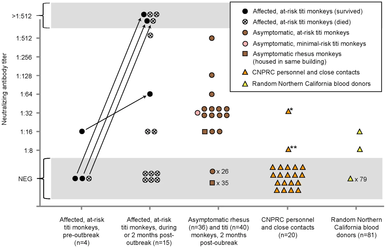 Seroprevalence of TMAdV in humans and monkeys.