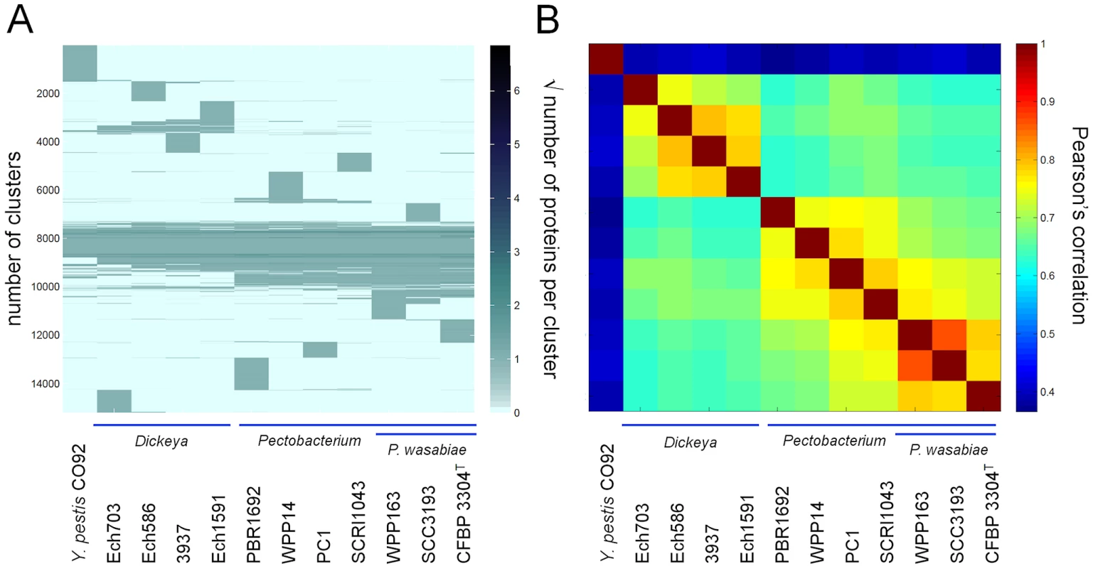 Comparison of proteomes of <i>Pectobacterium</i> and <i>Dickeya</i> strains.