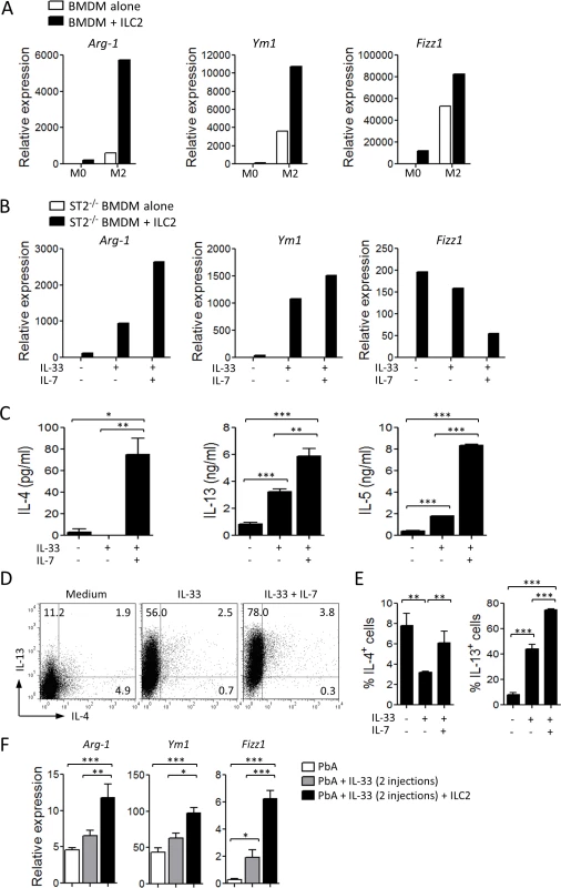 ILC2 promote M2 macrophage polarization.