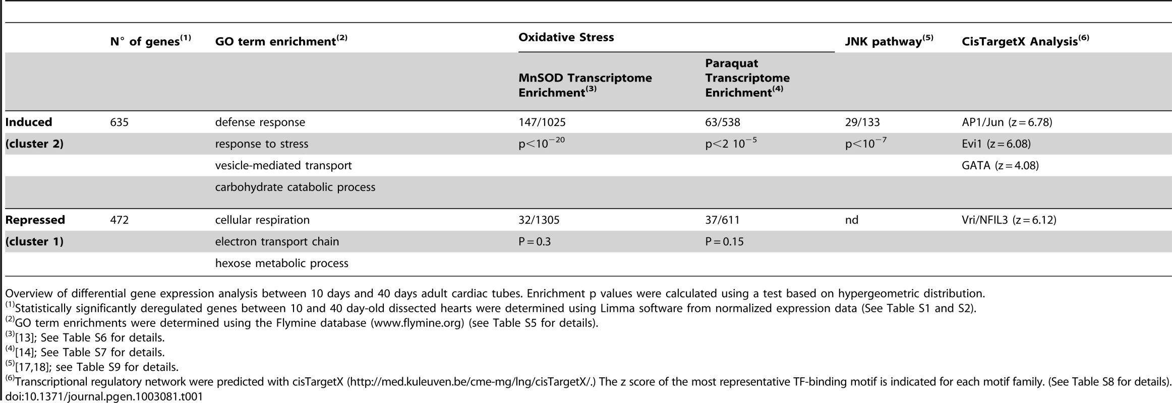 Molecular pathways and putative transcription regulatory networks affected during cardiac aging.