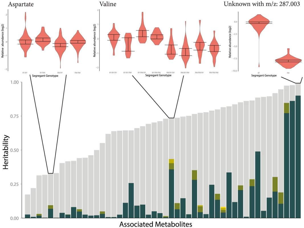 Fraction of broad-sense heritability explained by identified mQTLs.