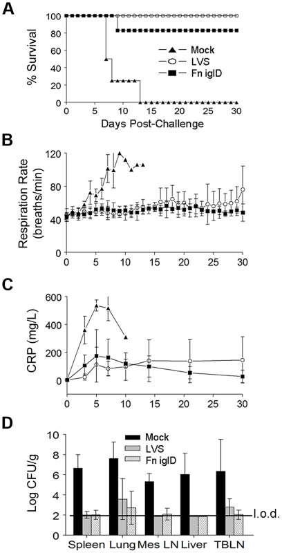 Fn <i>iglD</i> vaccination protects NHP against subsequent pulmonary challenge with Ftt.