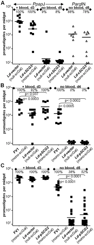 Expression of “<i>Ppap</i>J-optimal” scGal-LPG PAMPs in <i>L. donovani-SCG</i> transfectants does not improve survival in <i>Ppap</i>J sand flies.