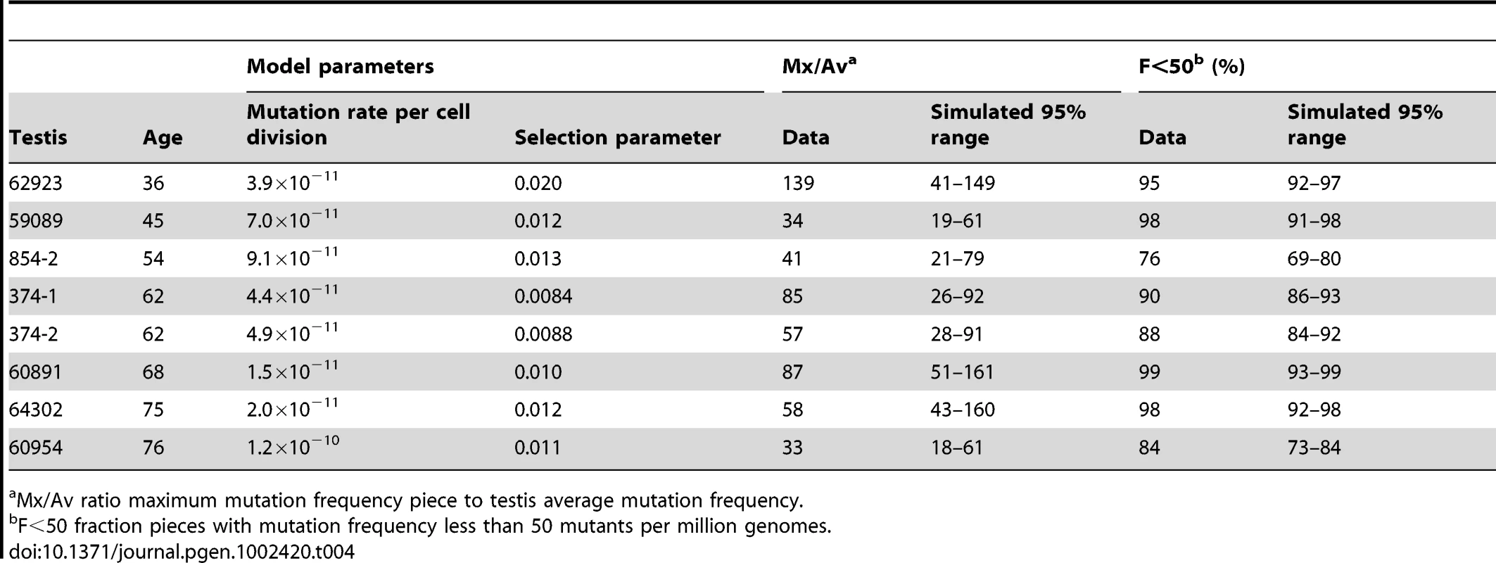 Selection model incorporating cell death model parameters and simulation results for those testes with substantial MEN2B mutation clusters.