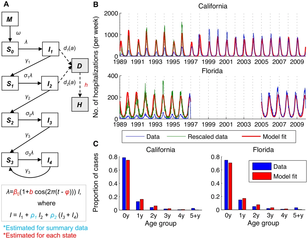 Transmission dynamic model for RSV and fit to age-specific hospitalization data.