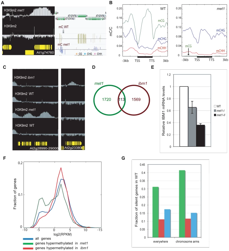 Genome-wide comparison of H3K9 hypermethylated genes in <i>met1</i> and <i>ibm1</i> mutants.