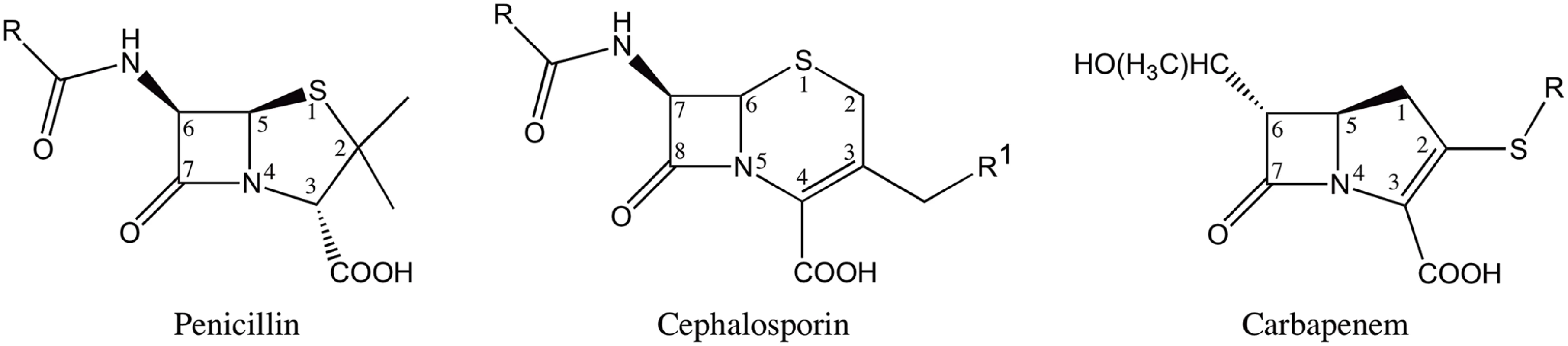 Structures of β-lactam antibiotics with positions numbered.