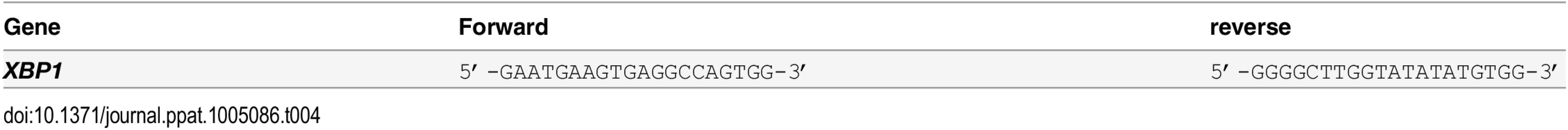 siRNA used in this study.