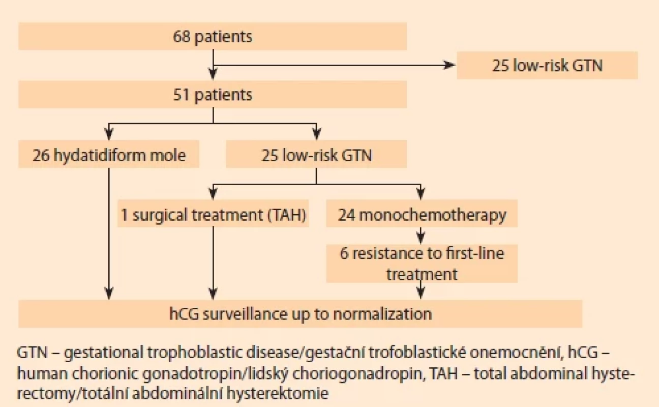 Flowchart of the included patients.