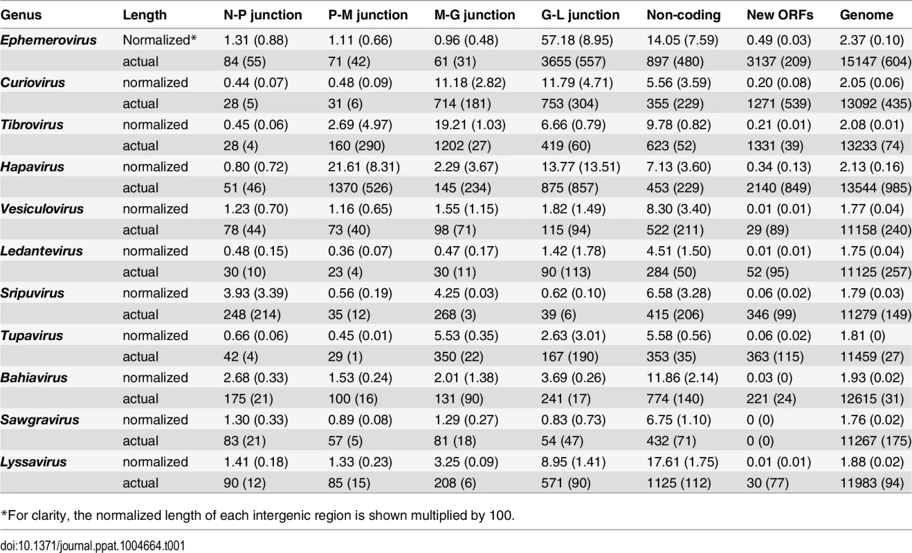 Averages (standard deviation) of the actual lengths of each genome region (nt), and the normalized lengths relative to the length of the L gene.