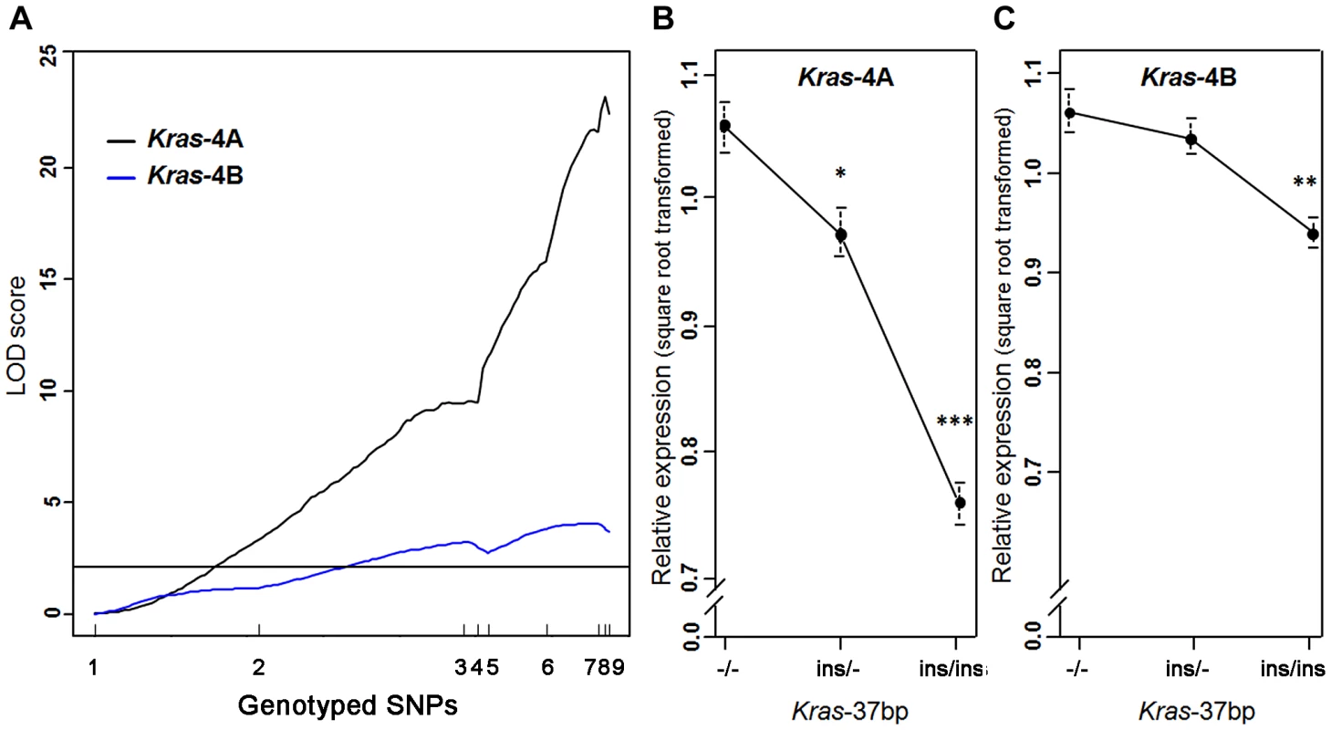 <i>Kras</i>-4A expression is highly controlled by <i>Pas1</i> locus in normal lung.