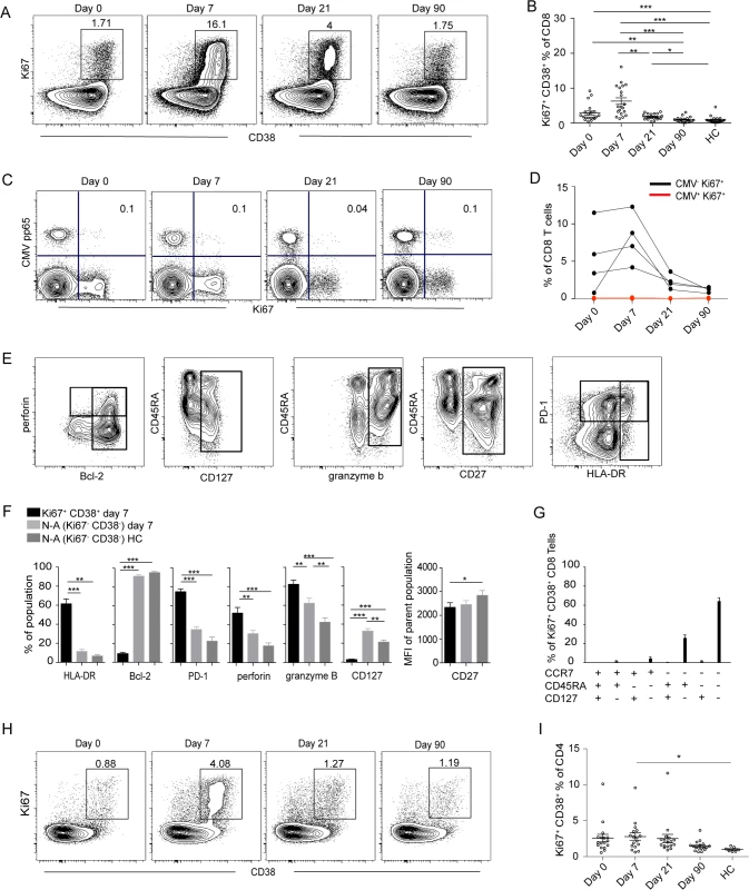 Activation of T cells in the acute phase of TBE infection.