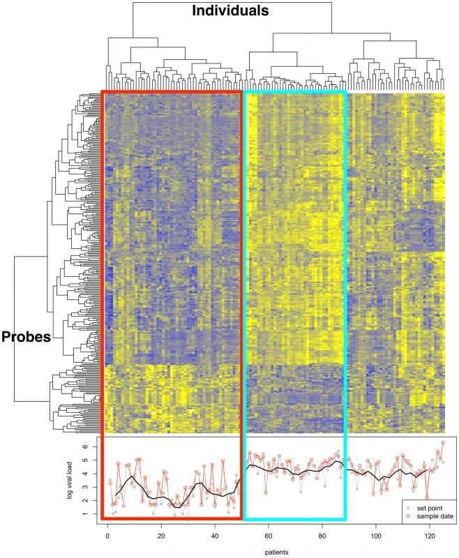 Transcriptome analysis in CD4+ T cells from HIV-infected untreated individuals.