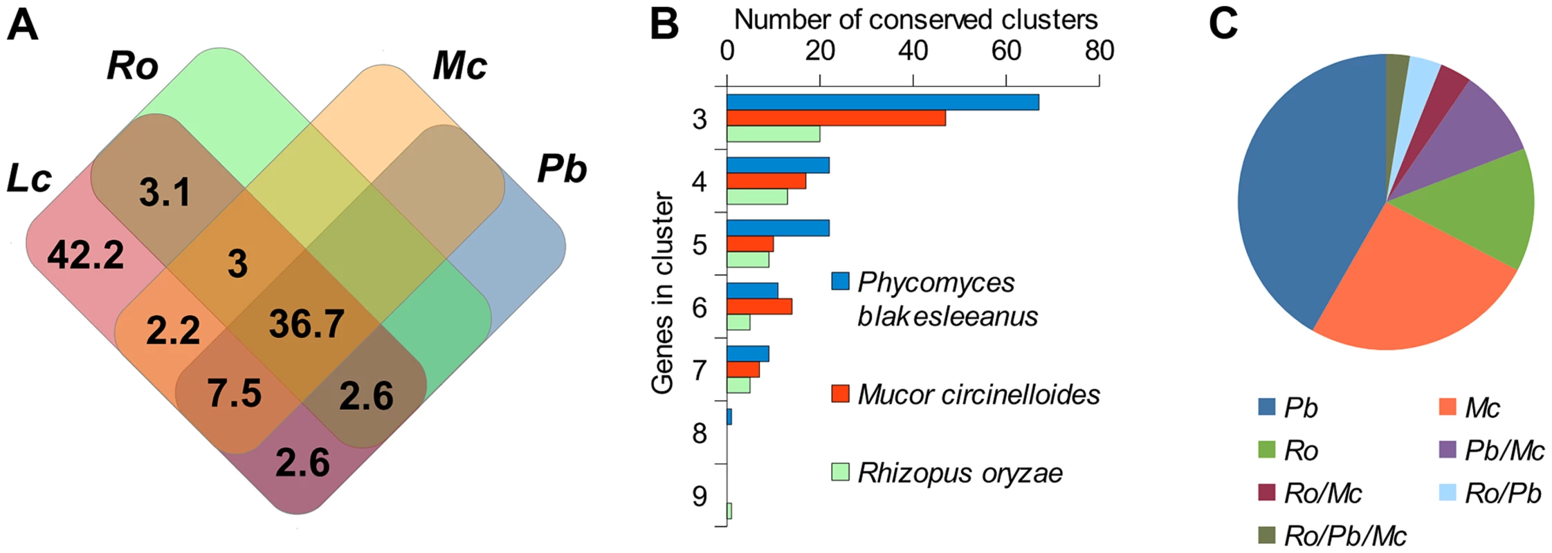 Conserved regions of the <i>L. corymbifera</i> genome with other mucoralean genomes.