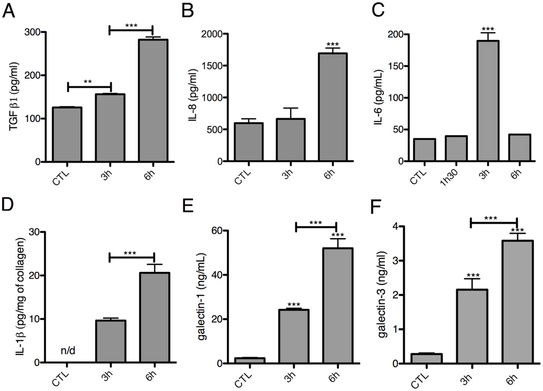 Kinetics of cytokine release in the 3D-liver model in response to <i>E. histolytica</i>.