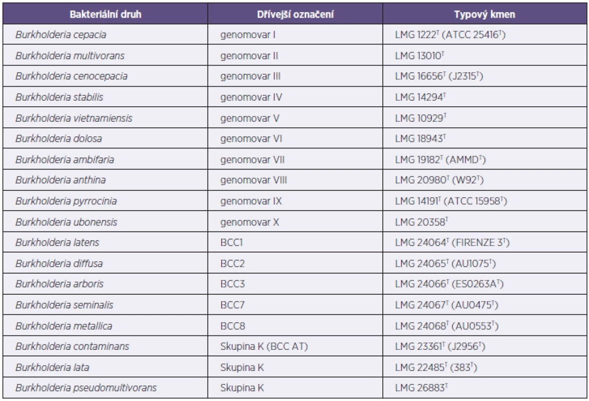 Současná taxonomie komplexu B. cepacia
Tabulka 2. Current taxatomy of the BCC