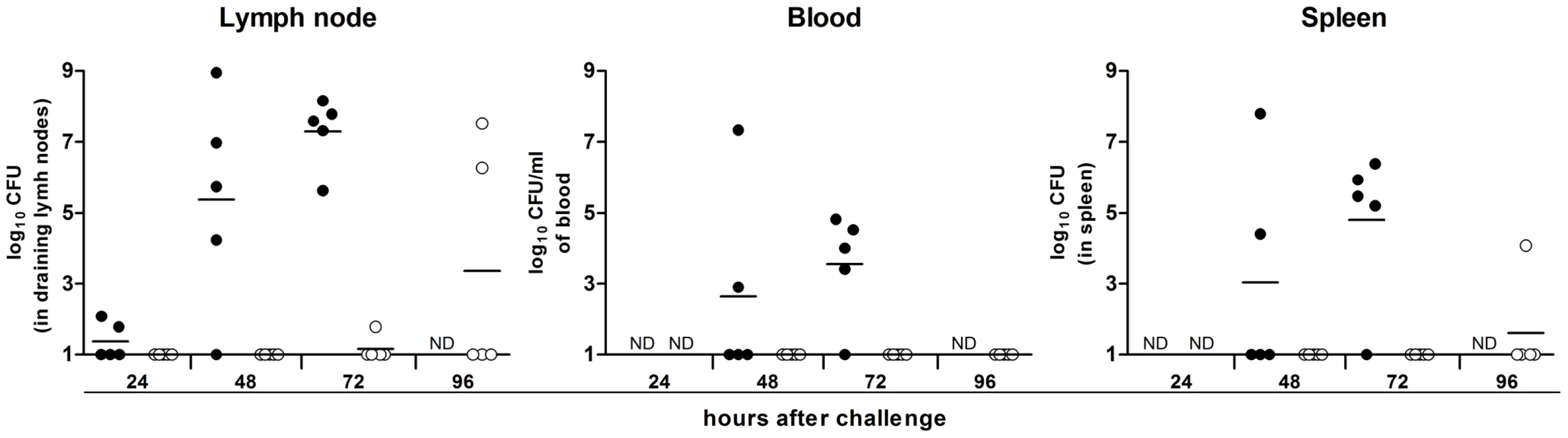 The change over time in colonization and bacterial load in rats inoculated intradermally with ∼20 WT <i>Y. pestis</i> (white circles) or Δ<i>ypmt</i>1.66c (black circles).