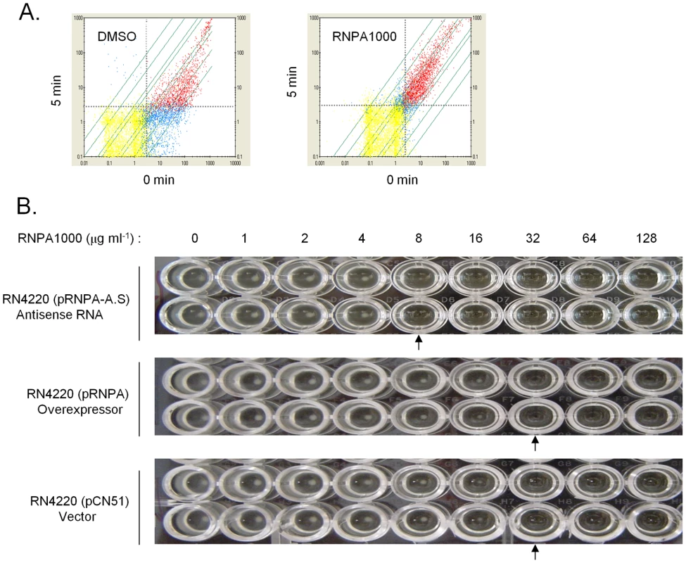 RNPA1000 characterization.