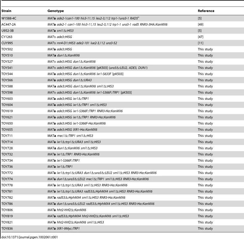 Yeast strains used in this study.