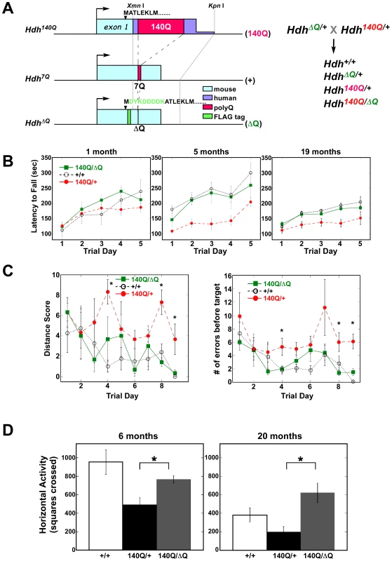 ΔQ-htt expression ameliorates motor and behavioral deficits in <i>Hdh<sup>140Q/ΔQ</sup></i> mice.