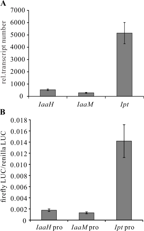 Transcripts of oncogenes in crown galls and activity of oncogene promoters in protoplasts.