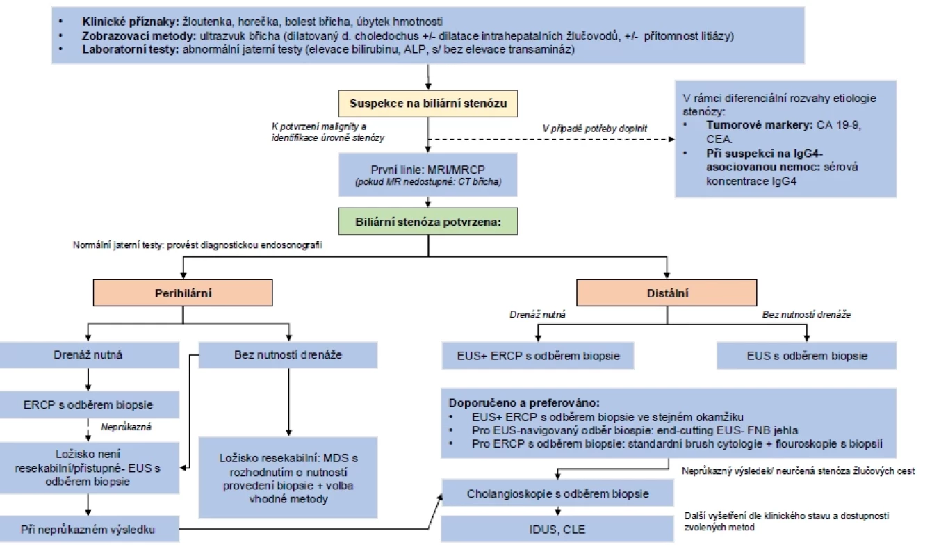 Algoritmus pro diagnostiku biliární stenózy. Podle ESGE Guideline.