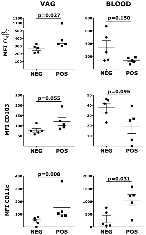 HSV-2 infection impacts the expression of α<sub>4</sub>β<sub>7</sub>, CD103 and CD11c on vaginal DCs.