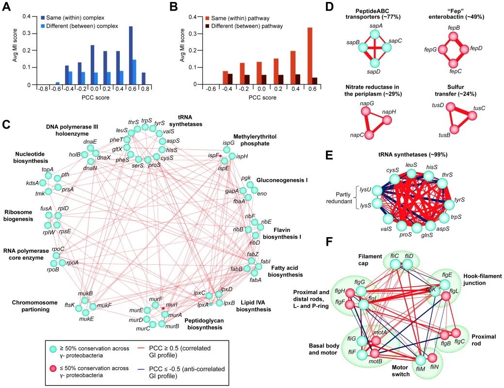 Correlated GI profiles of co-conserved genes and modules.