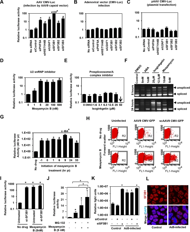 The U2snRNP complex plays the key role in restricting AAV vector transduction.