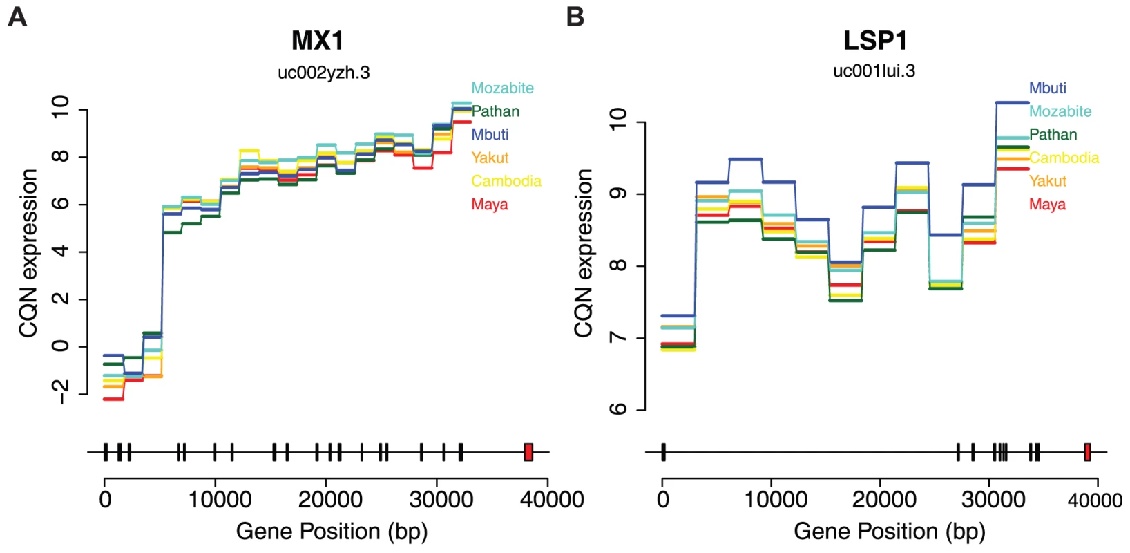 Differential expression across human populations.