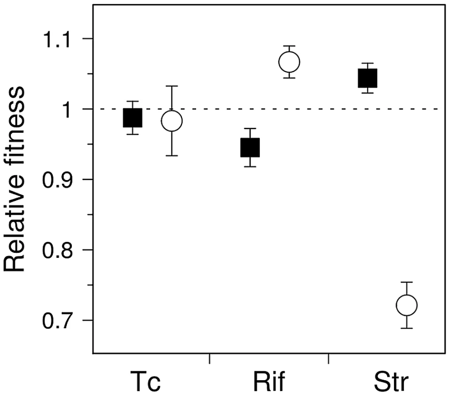 Competition experiments for antibiotic-resistant mutants of wild-type and mutator <i>E. coli</i>.