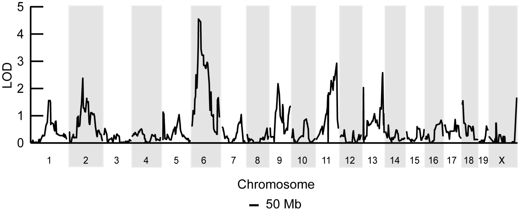 A chromosome 6 locus significantly affects mtDNA segregation in hematopoietic tissues.