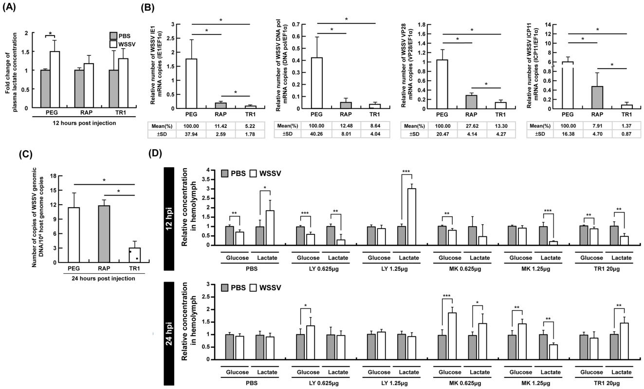 At 12-induced Warburg effect was suppressed by inhibiting mTOR, PI3K and Akt.