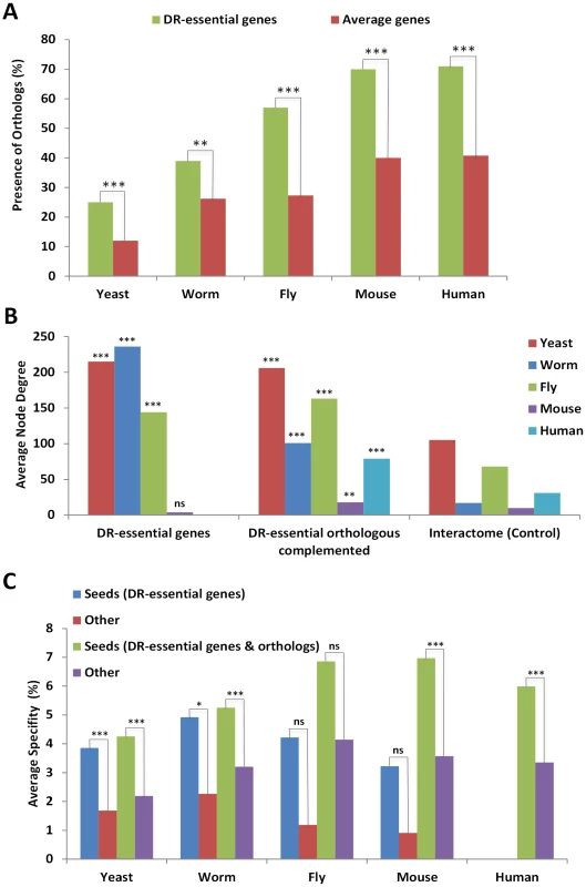 DR–essential genes are molecularly conserved and form a tight interaction network.