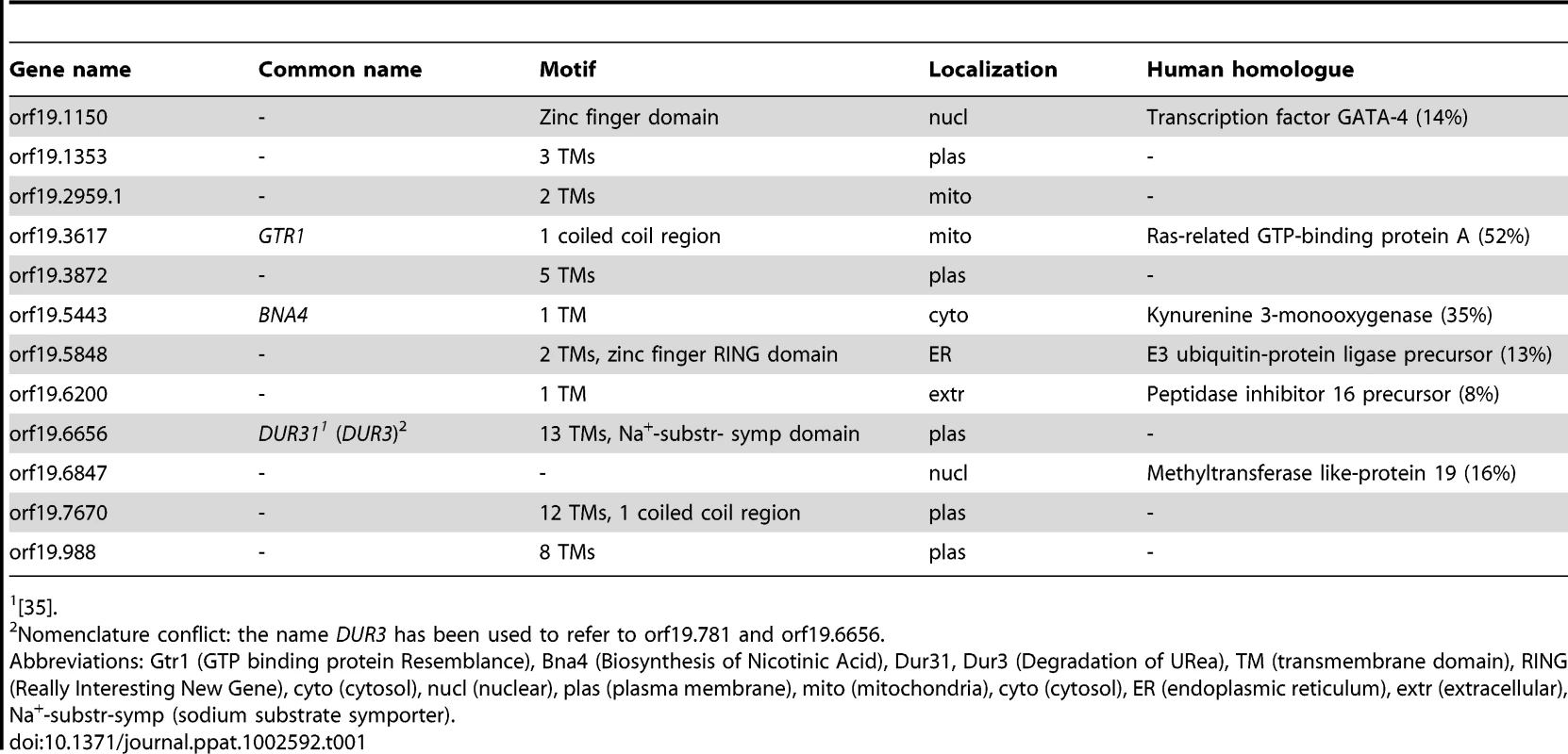 In silico analysis of <i>C. albicans</i> oral infection upregulated unknown function genes.