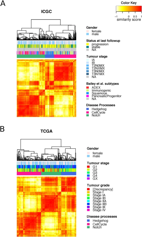 Clustering of master regulators into different functional groups.