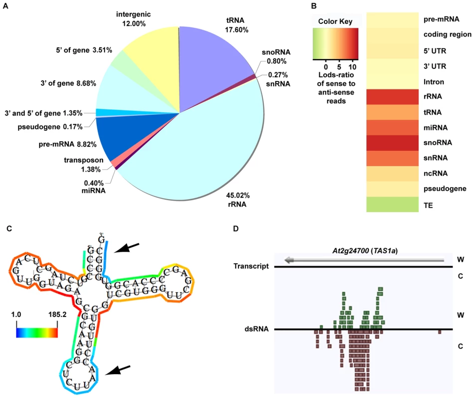 The dsRNA component of the <i>Arabidopsis</i> transcriptome.