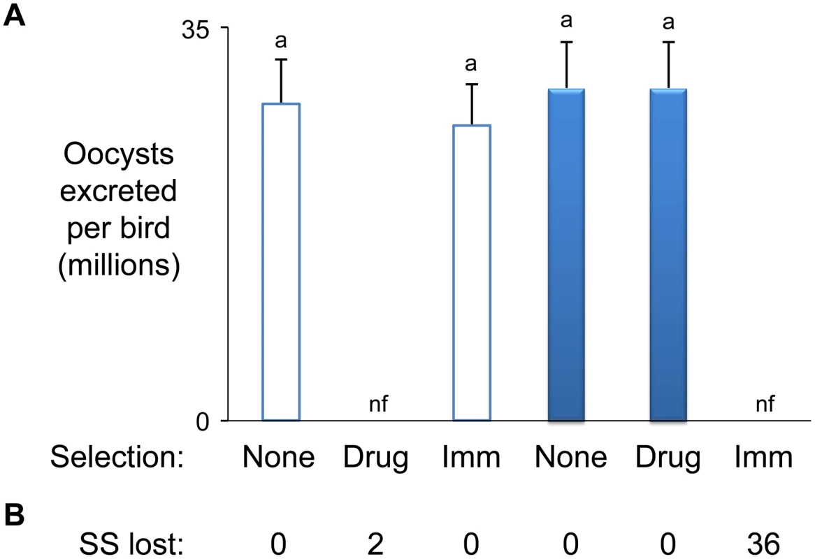 <i>Eimeria maxima</i> strain-specific traits.